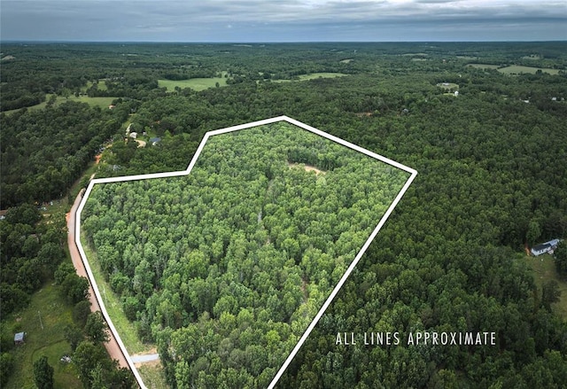 12828 Cadle Rd, Licking, MO 65542