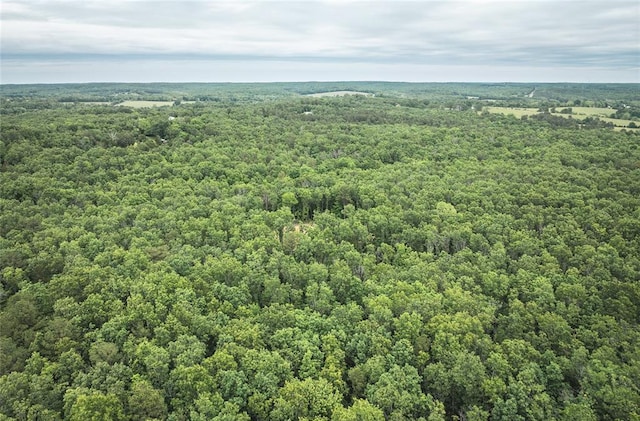 12828 Cadle Rd, Licking, MO 65542