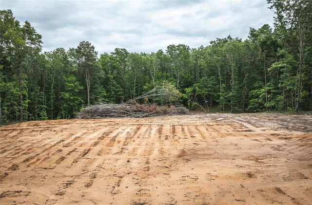 12828 Cadle Rd, Licking, MO 65542