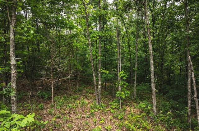 12828 Cadle Rd, Licking, MO 65542