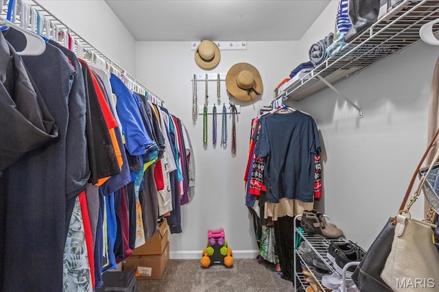 1001 Windstream Dr Unit 32, Saint Peters, MO 63376 - spacious closet featuring carpet