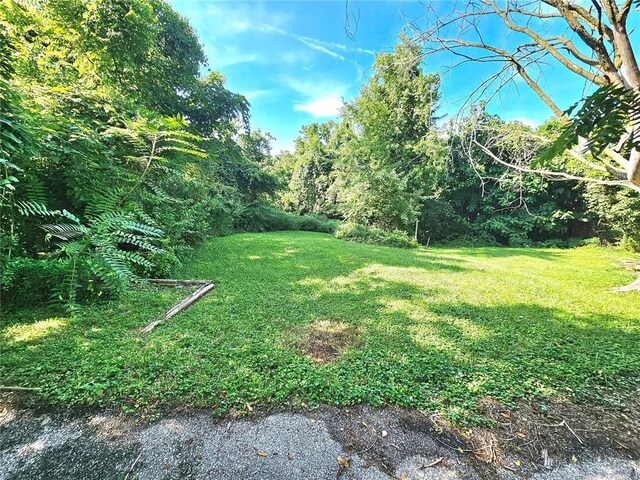 343 Northridge Dr, Saint Louis, MO 63137 - photo 9
