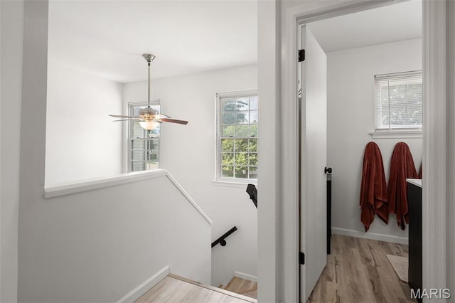 621 Sugar Trail Ct Unit 4, Saint Peters, MO 63376 - stairs with wood finished floors, baseboards, and ceiling fan