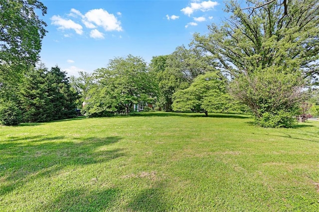 2801 Eldon Ave, Maryland Heights, MO 63043 - photo 9