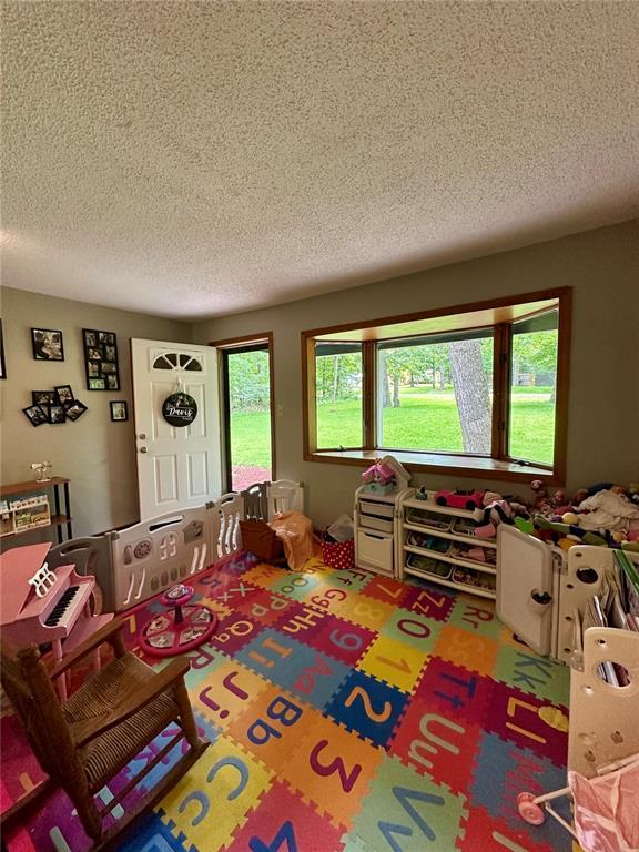 12185 Oak Meadow Dr, Rolla, MO 65401 - playroom with a textured ceiling