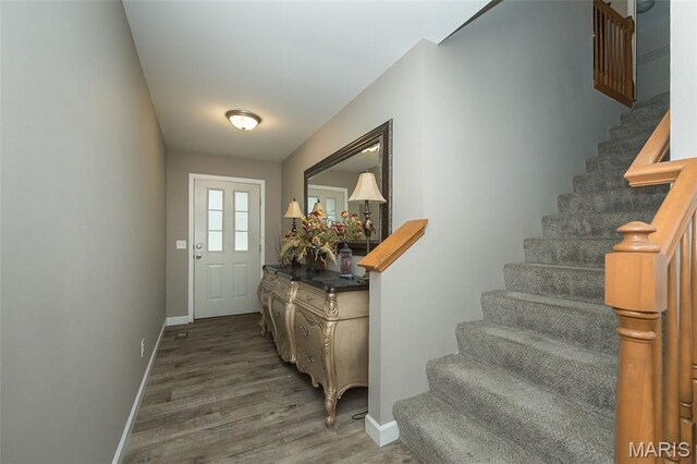 342 Santa Elena Ct, Wentzville, MO 63385 - photo 4