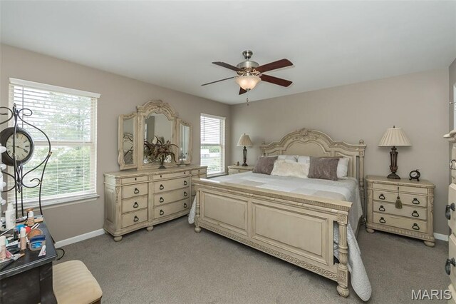 342 Santa Elena Ct, Wentzville, MO 63385 - photo 16