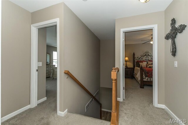 342 Santa Elena Ct, Wentzville, MO 63385 - photo 17