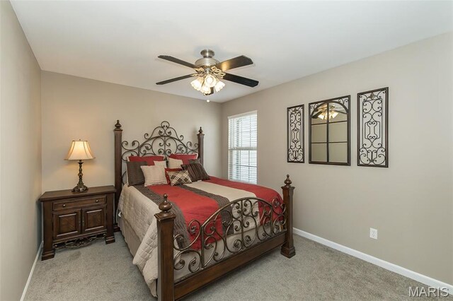 342 Santa Elena Ct, Wentzville, MO 63385 - photo 23
