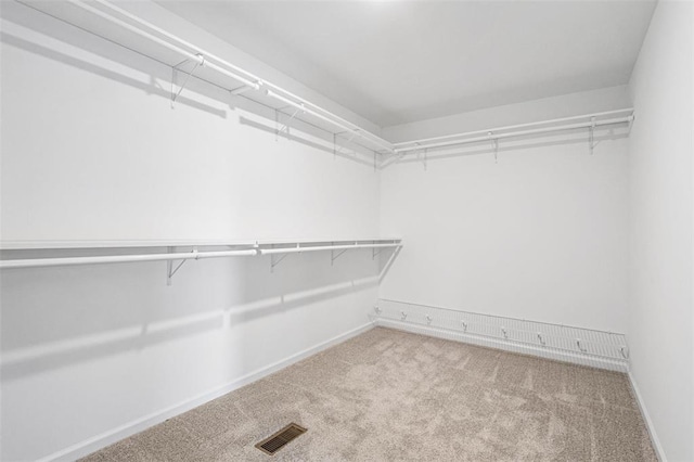 1448 Guilford Pl, Troy, IL 62294 - walk in closet with carpet