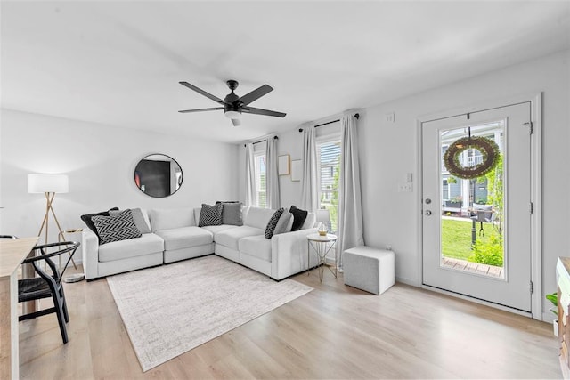 369 Tiber Pl, Saint Charles, MO 63301 - living room with light wood finished floors and a ceiling fan