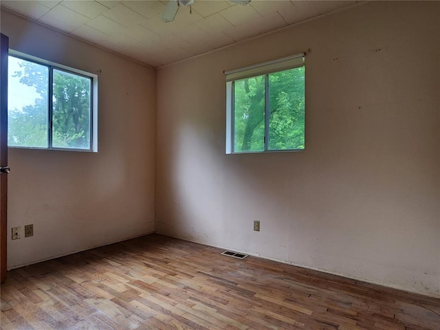 1505 Dale St, Van Buren, MO 63965 - spare room featuring healthy amount of natural light and light wood finished floors