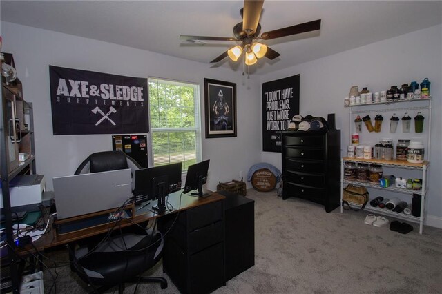 13272 Half Dr, Dixon, MO 65459 - photo 17