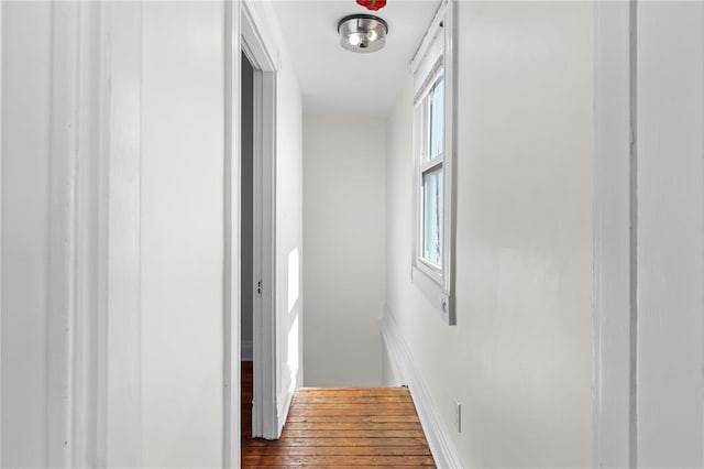 2856 Wyoming St, Saint Louis, MO 63118 - hallway with wood finished floors
