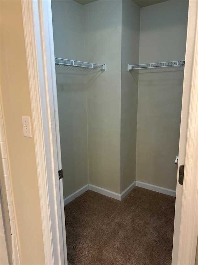 333 Bramblett Hls, Ofallon, MO 63366 - walk in closet featuring carpet floors
