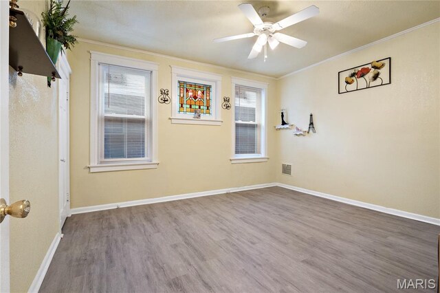 4300 Dewey Ave, Saint Louis, MO 63116 - photo 13