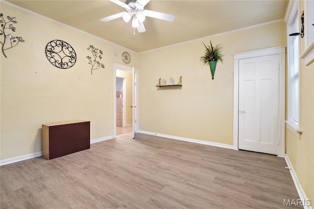 4300 Dewey Ave, Saint Louis, MO 63116 - photo 14