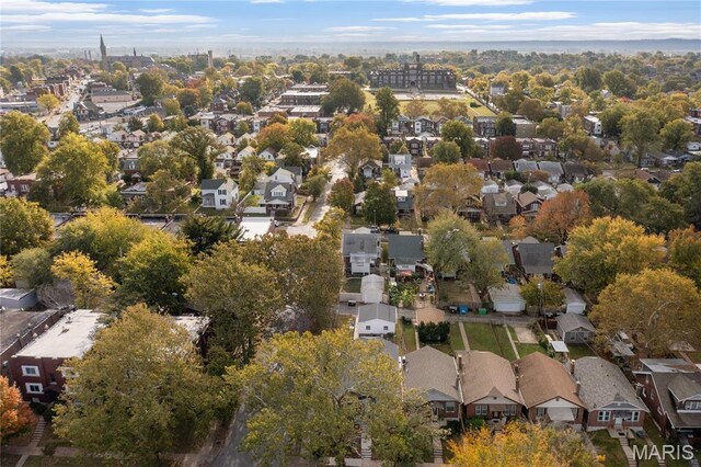 4300 Dewey Ave, Saint Louis, MO 63116 - photo 49