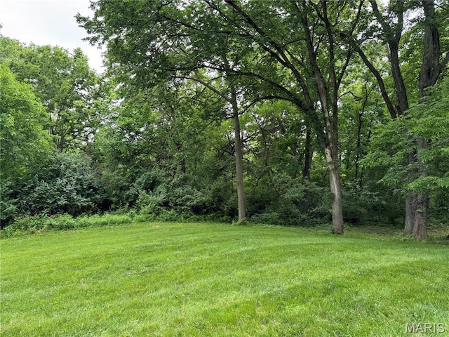 2700 Hyacinth Ave, Hannibal, MO 63401 - view of grassy yard with a wooded view