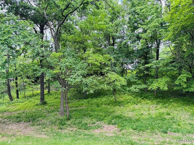 2700 Hyacinth Ave, Hannibal, MO 63401 - view of tree filled area