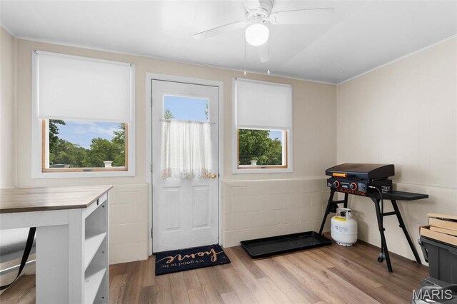 1610 Swanwick St, Chester, IL 62233 - photo 8