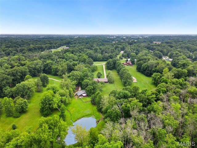 8825 Rosewood Hills Dr, Edwardsville, IL 62025 - photo 58