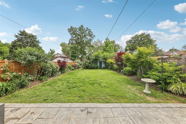 6708 Etzel Ave, University City, MO 63130 - view of yard