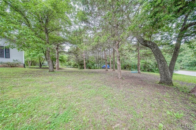 1708 Line Ave, Rolla, MO 65401 - view of green lawn