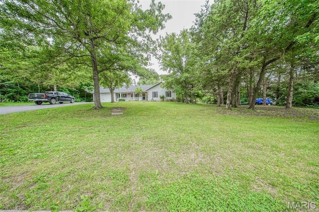 1708 Line Ave, Rolla, MO 65401 - view of grassy yard with driveway