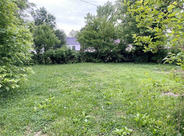 708 E State Route 72, Rolla, MO 65401 - view of yard