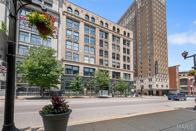 901 Washington Ave Unit 207, Saint Louis, MO 63101 - photo 3