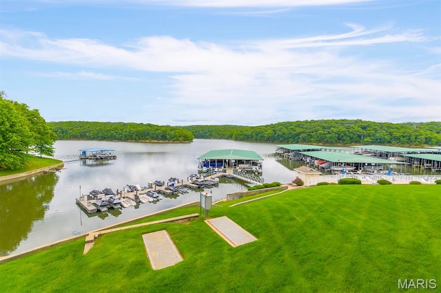 4800 Eagleview Dr Unit 113B, Osage Beach, MO 65065 - water view with a forest