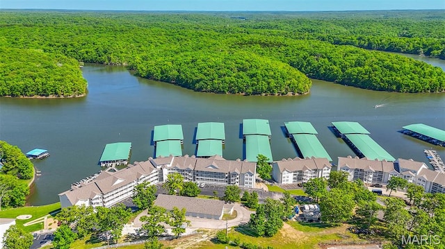 4800 Eagleview Dr Unit 113B, Osage Beach, MO 65065 - bird's eye view of a heavily wooded area and a large body of water