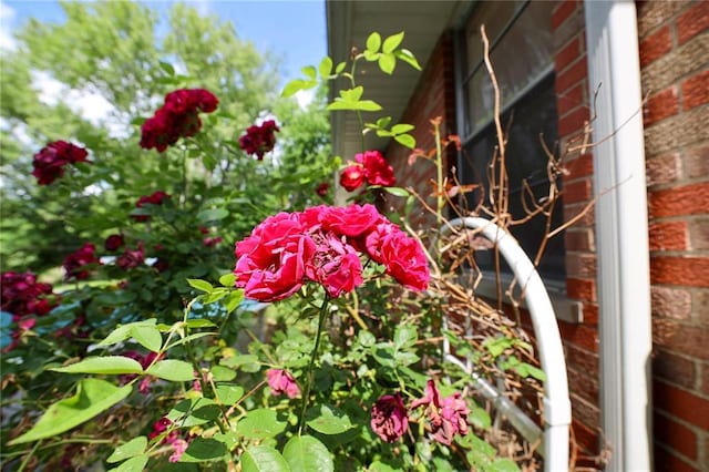 3755 Park Crest Dr, Saint Louis, MO 63125 - photo 35