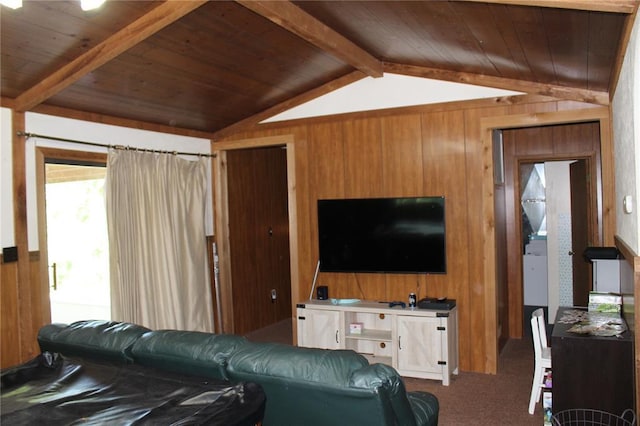 20143 State Highway 34, Piedmont, MO 63957 - carpeted living area with wooden ceiling and wooden walls