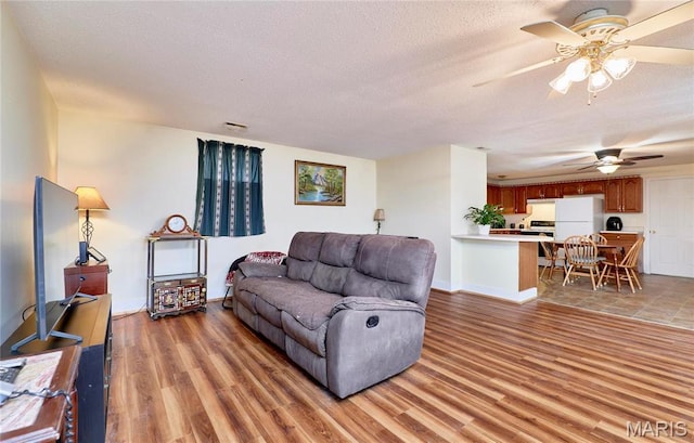 24925 Pike 244, Clarksville, MO 63336 - living room featuring ceiling fan, light wood-style flooring, a textured ceiling, and baseboards