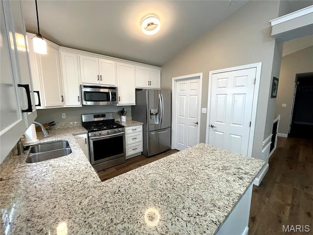 259 Jacob Ln, Ballwin, MO 63021 - kitchen with appliances with stainless steel finishes, a sink, vaulted ceiling, light stone counters, and white cabinets