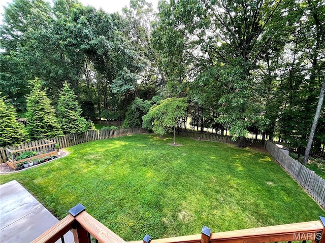 259 Jacob Ln, Ballwin, MO 63021 - view of yard
