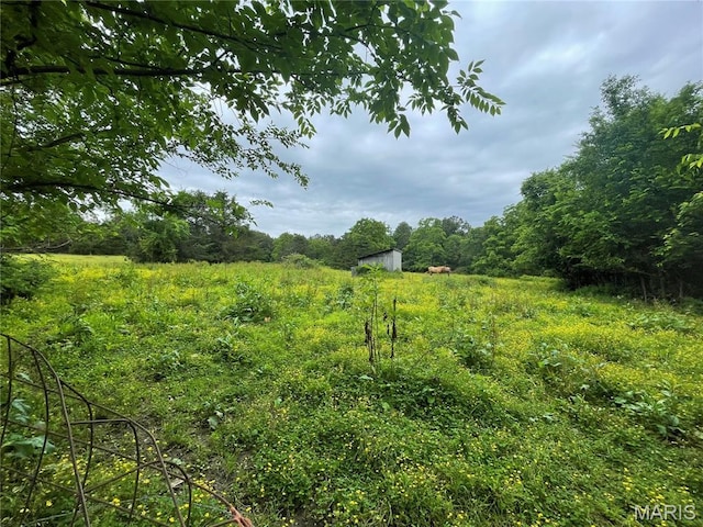 623 County Road 6590, Salem, MO 65560 - view of yard with a forest view
