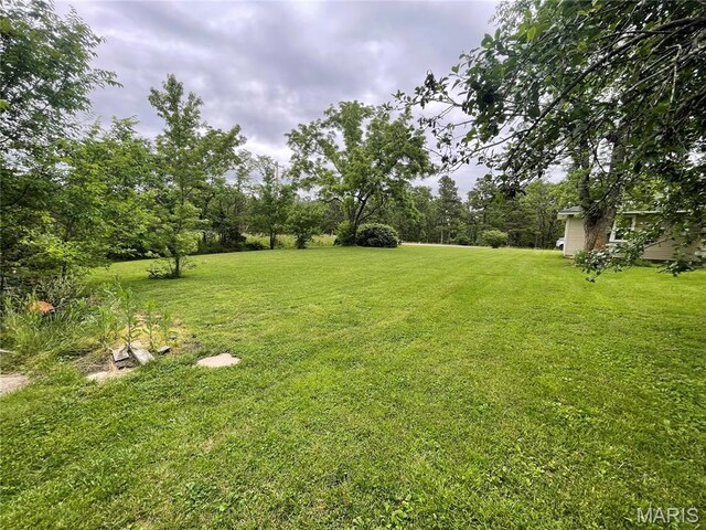 623 County Road 6590, Salem, MO 65560 - view of green lawn