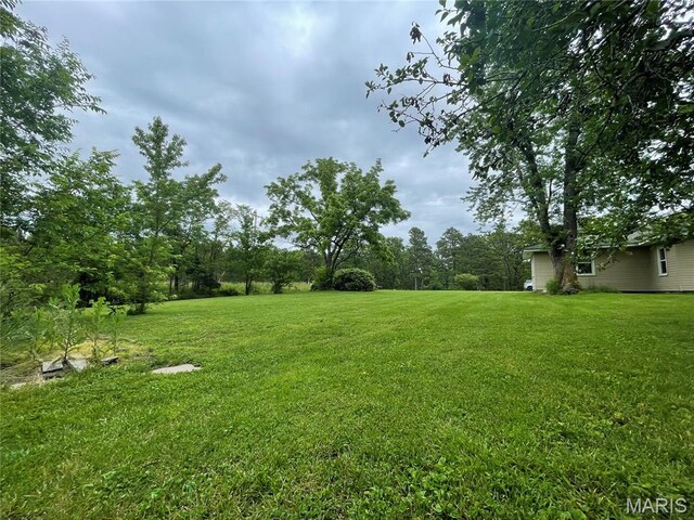 623 County Road 6590, Salem, MO 65560 - view of grassy yard