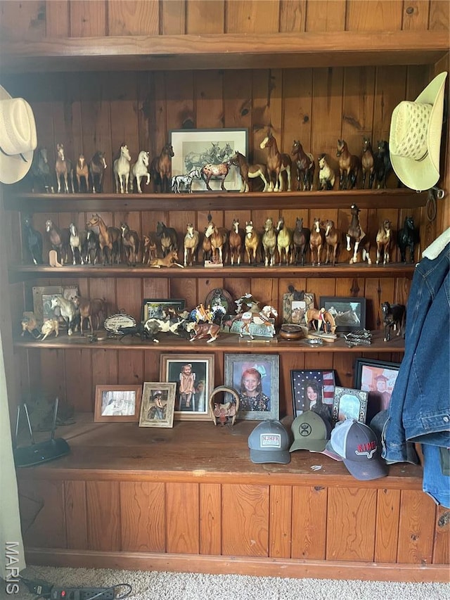 623 County Road 6590, Salem, MO 65560 - detailed view of wood walls