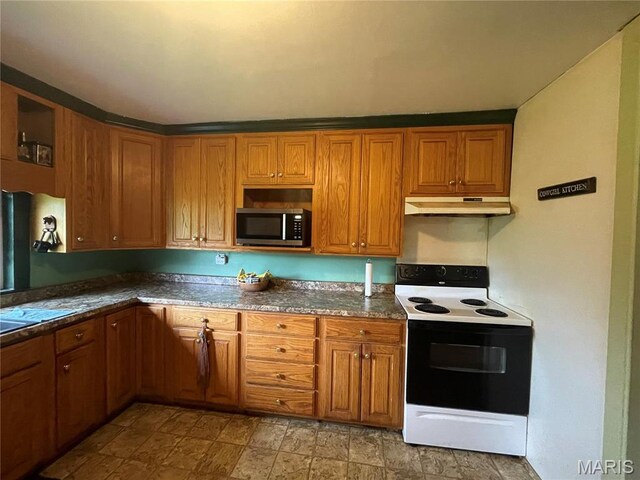 623 County Road 6590, Salem, MO 65560 - kitchen with electric range oven, under cabinet range hood, stainless steel microwave, and brown cabinets