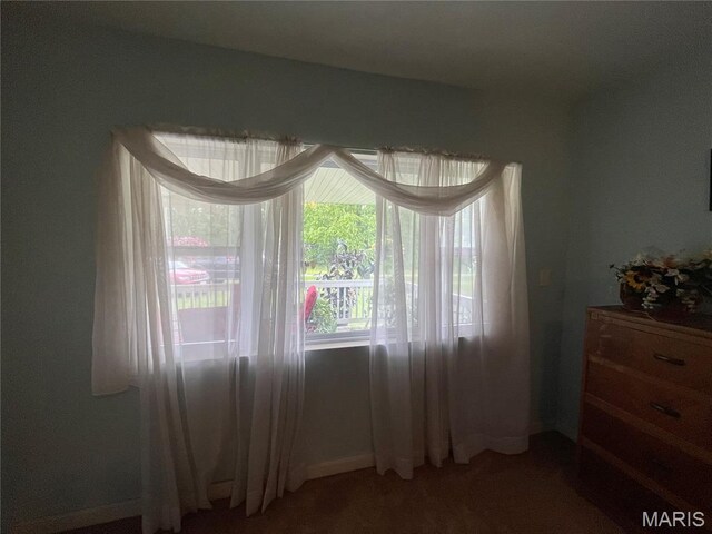 623 County Road 6590, Salem, MO 65560 - unfurnished room with light carpet and baseboards