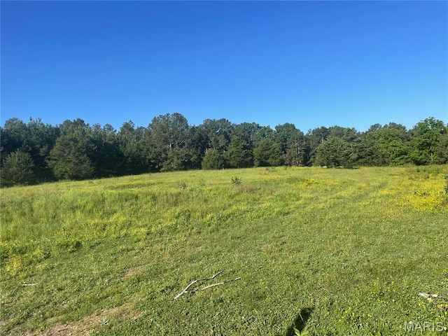 623 County Road 6590, Salem, MO 65560 - view of tree filled area with a view of rural / pastoral area