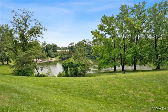 14575 Ladue Rd, Chesterfield, MO 63017 - photo 26