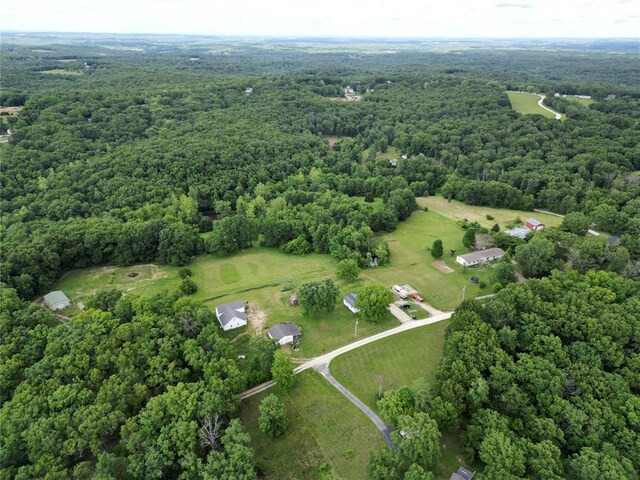 303 Bird Song Ln, Saint Clair, MO 63077 - photo 6