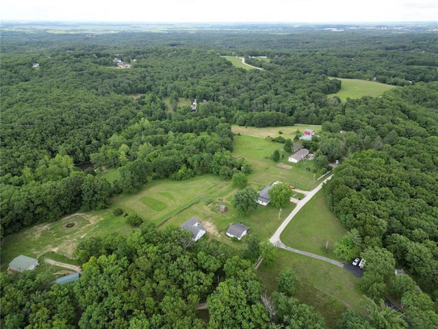 303 Bird Song Ln, Saint Clair, MO 63077 - photo 8