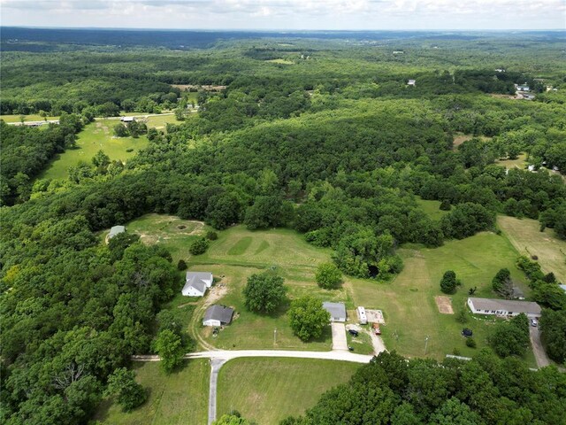 303 Bird Song Ln, Saint Clair, MO 63077 - photo 38