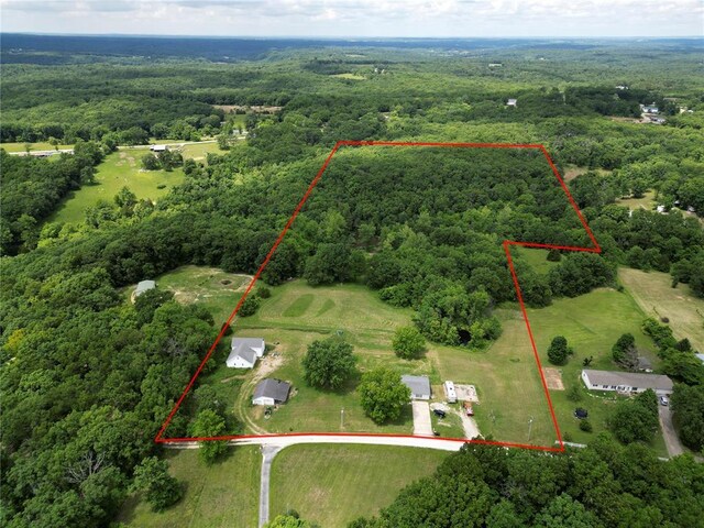 303 Bird Song Ln, Saint Clair, MO 63077 - photo 39